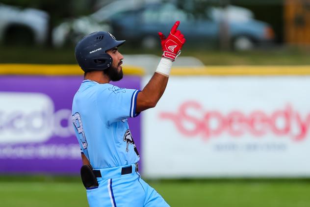 Victoria HarbourCats on the field