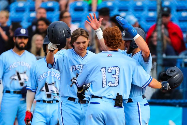 Victoria HarbourCats celebrate catcher Russell Young