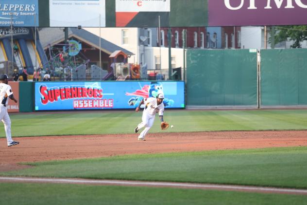 York Revolution shortstop Elmer Reyes