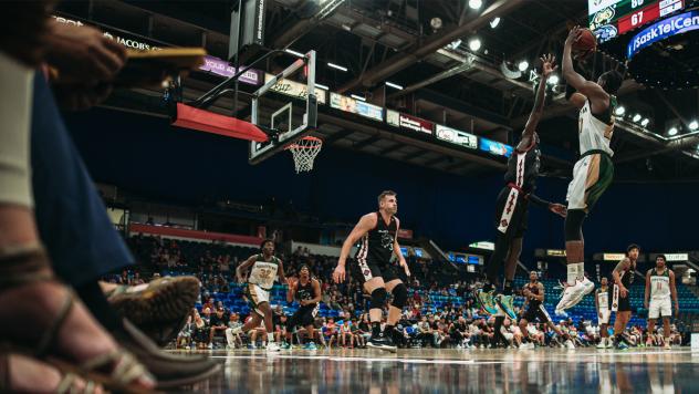 Saskatchewan Rattlers put up a shot