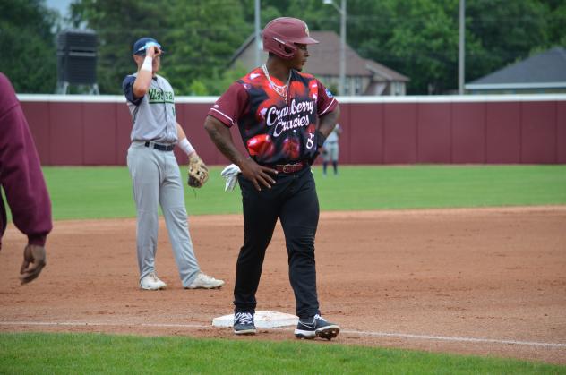 Wisconsin Rapids Rafters vs. Madison Mallards
