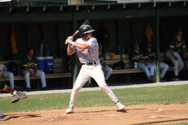 Vermont Mountaineers' Evan Fox at bat