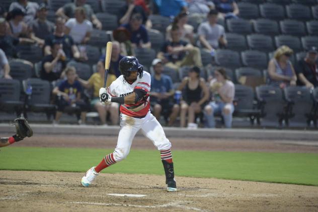 Fayetteville Woodpeckers in action