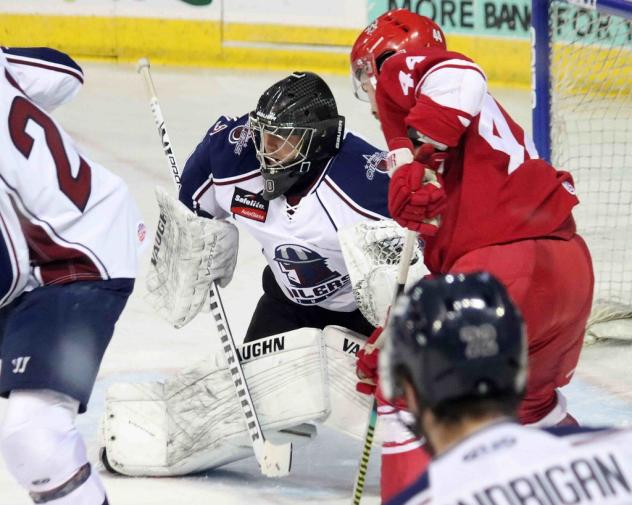 Zane Franklin on the ice for the Allen Americans against the Tulsa Oilers