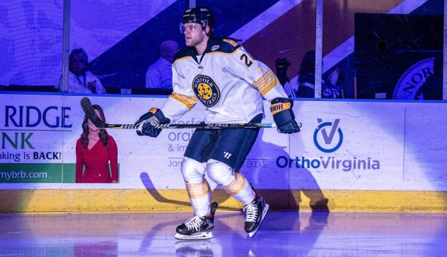 Norfolk Admirals defenseman Eric Williams
