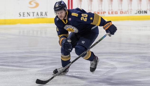 Norfolk Admirals defenseman Eric Williams