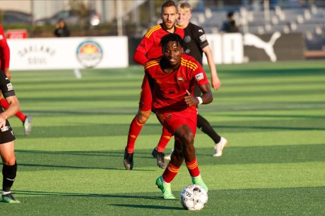 Phoenix Rising in action