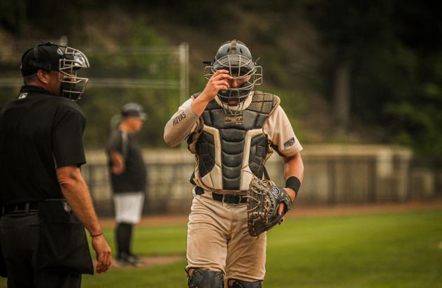 Adam Dapkewicz of the Sanford Mainers