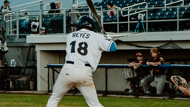 Daylen Reyes of the Fond Du Lac Dock Spiders at bat