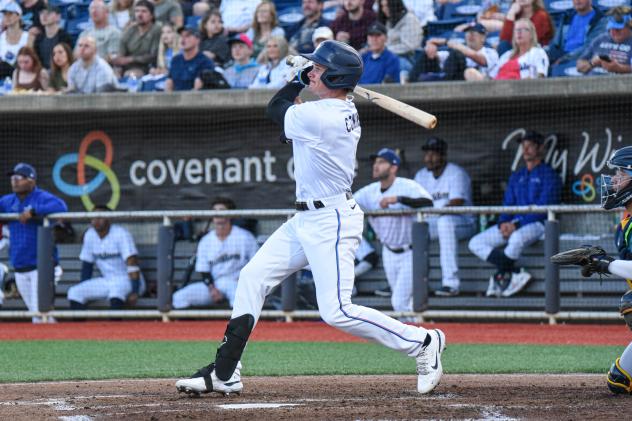 Pensacola Blue Wahoos in action