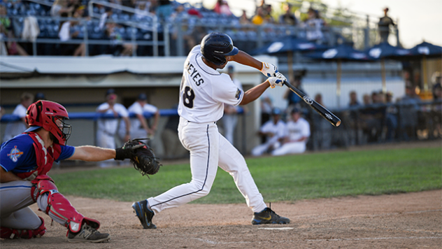 Fond du Lac Dock Spiders' Daylen Reyes at bat