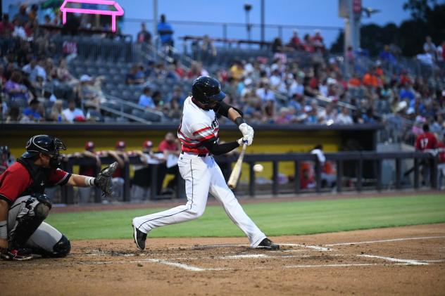 Fayetteville Woodpeckers at bat