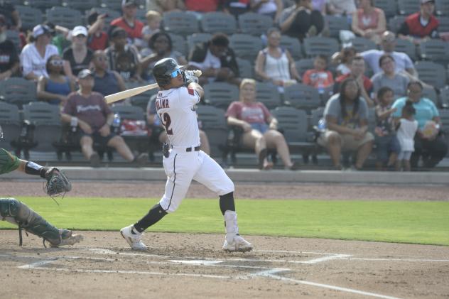 Fayetteville Woodpeckers in action