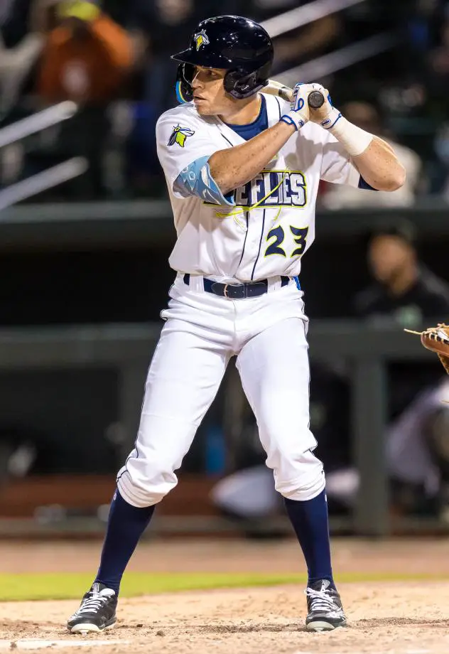 Columbia Fireflies' Darryl Collins at bat