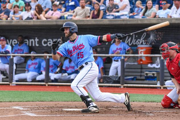 Bubba Hollins of the Pensacola Blue Wahoos