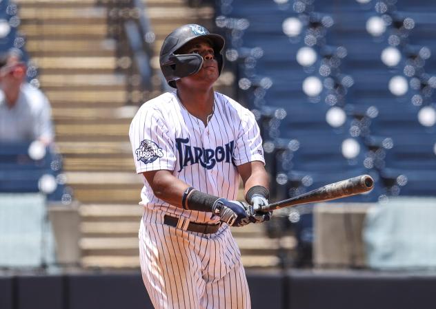 Tampa Tarpons left fielder Christopher Familia