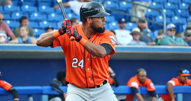 Long Island Ducks' Deibinson Romero at bat