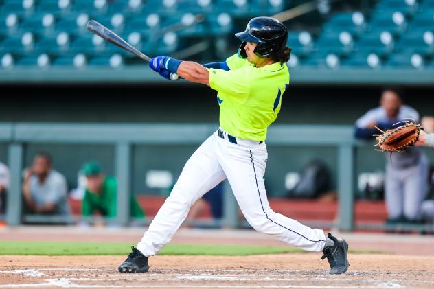 Dayton Dooney of the Columbia Fireflies at bat