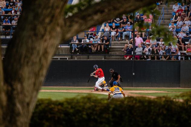 St. Cloud Rox' Charlie Condon