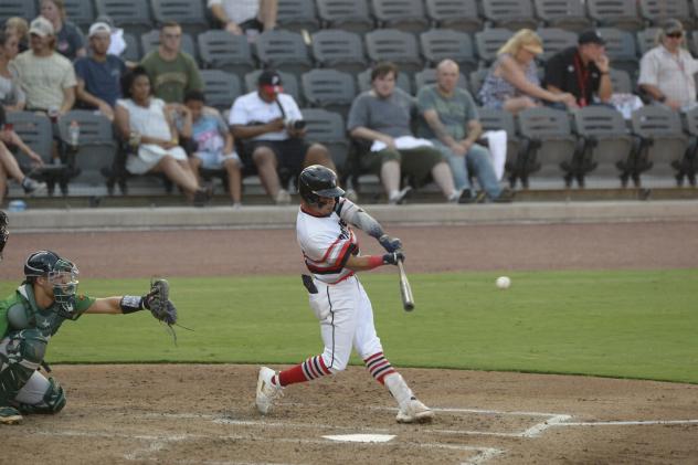 Fayetteville Woodpeckers in action
