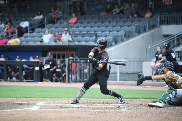 Fayetteville Woodpeckers in action