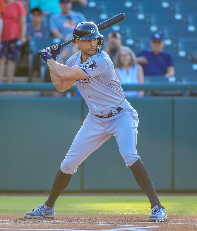 Somerset Patriots' Giancarlo Stanton at bat