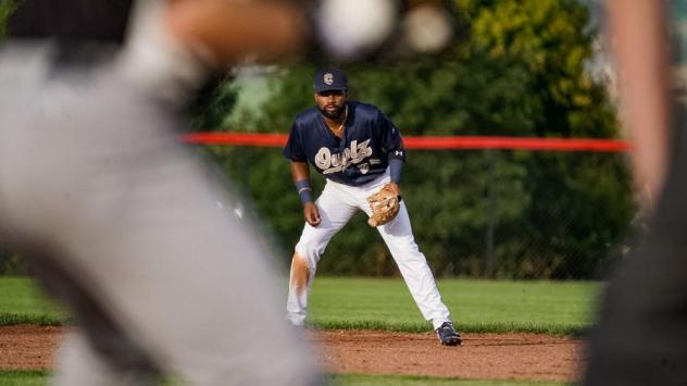 Northern Colorado Owlz in action
