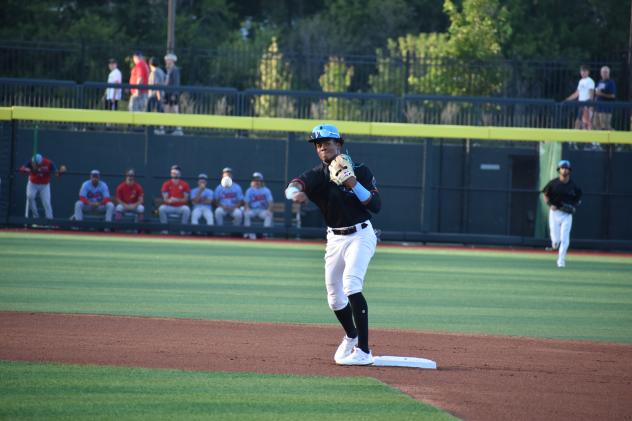 Beloit Sky Carp's Dalvy Rosario