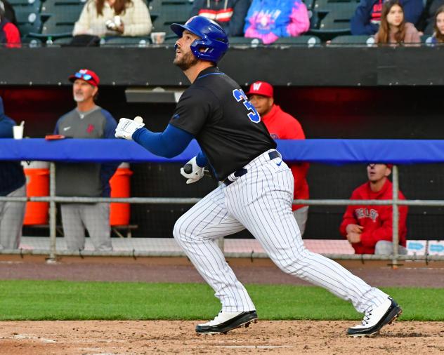 Syracuse Mets' Daniel Palka in action