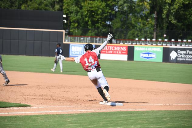 Tommy Sacco of the Fayetteville Woodpeckers