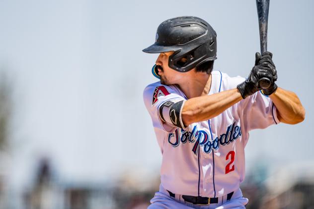 Amarillo Sod Poodes outfielder Corbin Carroll