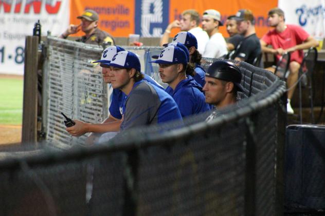 Evansville Otters keep an eye on the action