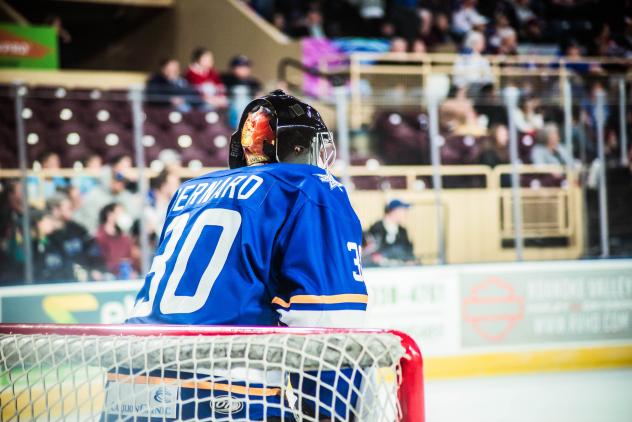 Roanoke Rail Yard Dawgs goaltender Sammy Bernard