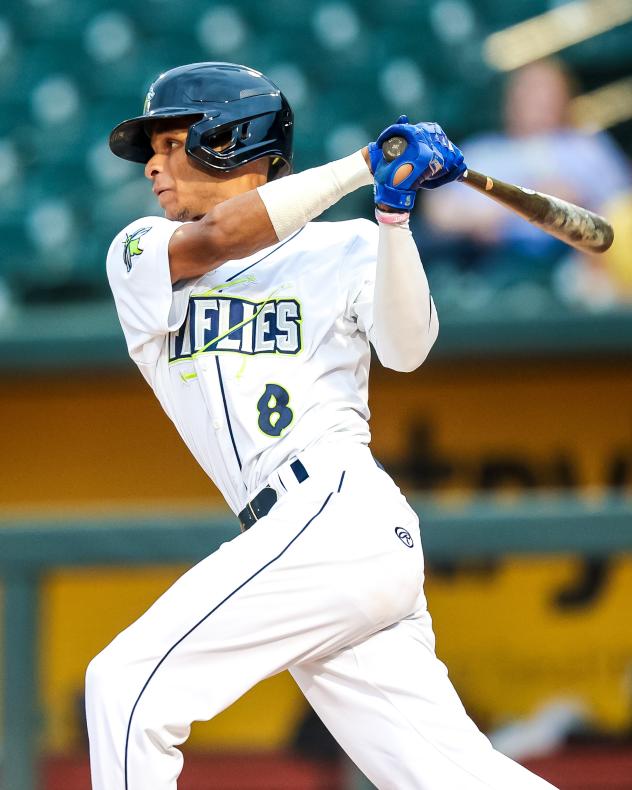Columbia Fireflies' Yeudi Advincola at bat