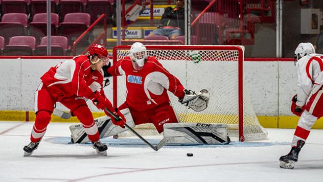 Soo Greyhounds in action