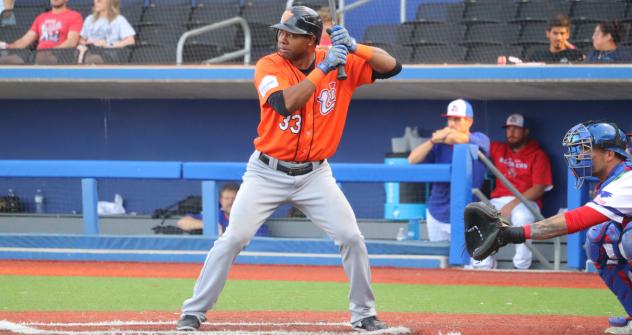 Alejandro De Aza of the Long Island Ducks at bat