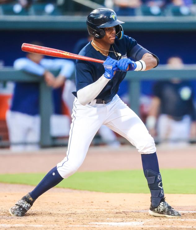 Columbia Fireflies' Daniel Vazquez At Bat