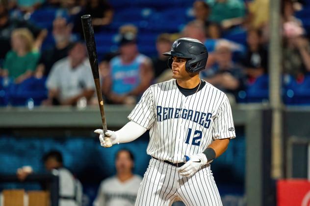 Outfielder Jasson Dominguez with the Hudson Valley Renegades