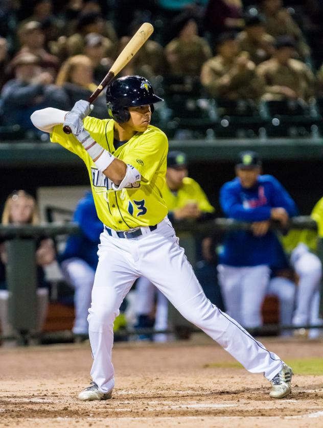 Columbia Fireflies third baseman Mark Vientos