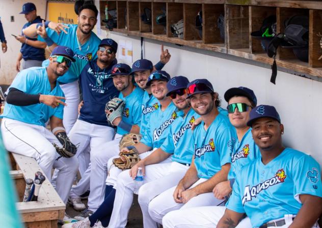 Everett AquaSox dugout