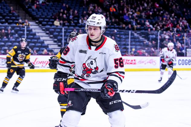 Adrien Beraldo skating for the Niagara IceDogs in 2019