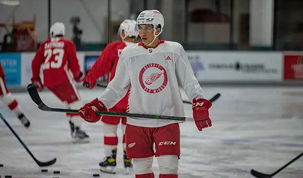 Red Wings' prospects Givani Smith, Filip Hronek to join Griffins