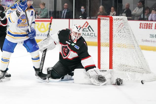 Goaltender Zane Steeves with the Huntsville Havoc