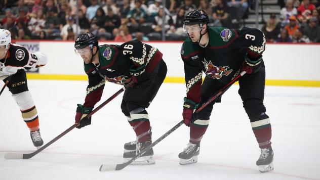 Arizona Coyotes in action at Tucson Arena