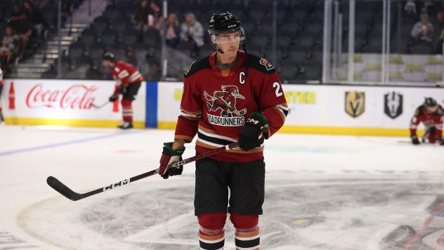 Tucson Roadrunners on the ice