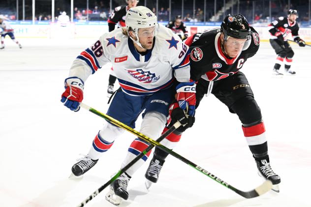 Rochester Americans' Anders Bjork in action