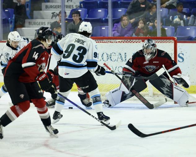 Vancouver Giants goaltender Jesper Vikman faces the Winnipeg ICE