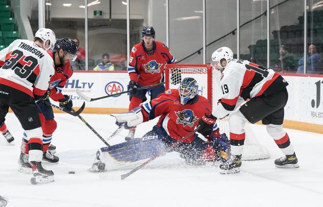 Belleville Senators' Lassi Thomson and Cedric Pare battle the Springfield Thunderbirds
