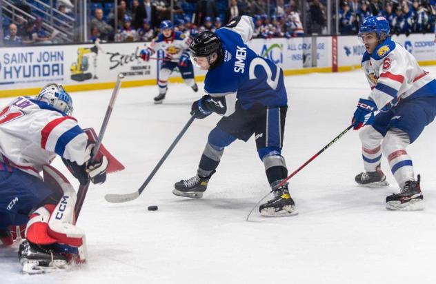 Saint John Sea Dogs' Pavel Simek in action