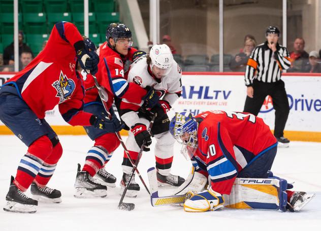 Springfield Thunderbirds' Steven Santini battles Belleville Senators' Egor Sokolov